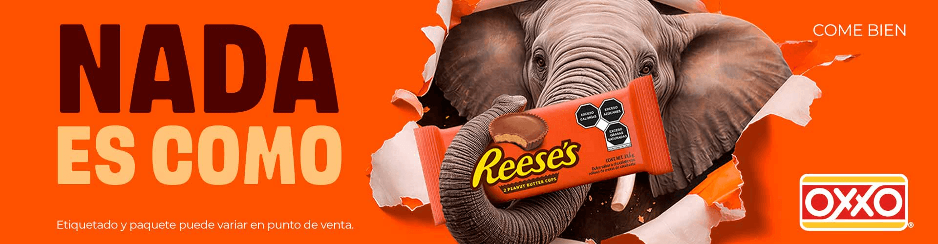 RTM-Reeses-HSY- Home-Pos4-P6-2026