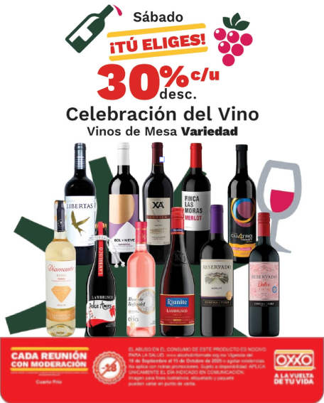 Variedad de vinos y licores