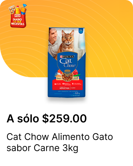 Cat Chow sabor Carne 3kg