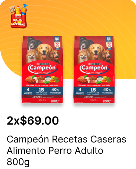Campeon Recetas Caseras Adulto 800g