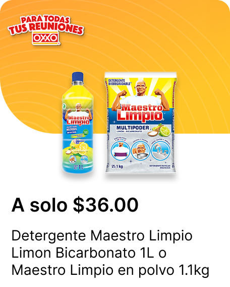 Detergente en polvo Maestro Limpio o  Bicarbonato 1pza