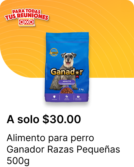 Alimento para perro Ganador Razas Pequenas 500g