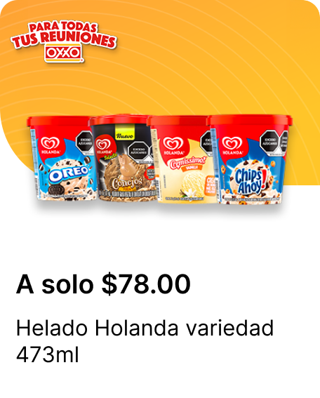 Helado Holanda variedad 473ml