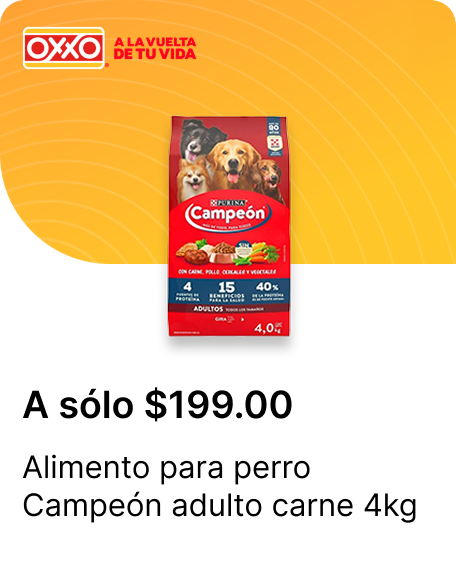 Alimento para perro Campeon adulto carne 4kg