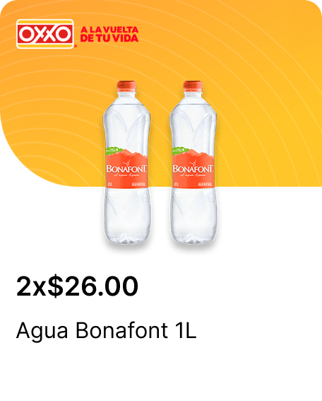 Agua Bonafont 1L
