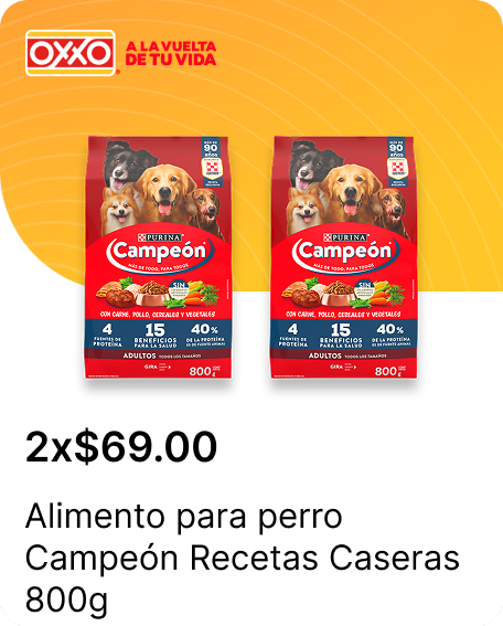 Alimento para perro Campeon Recetas Caseras 800g