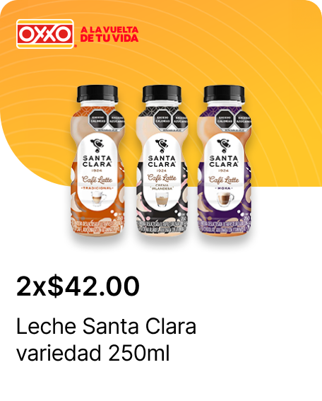Leche Santa Clara variedad 250ml