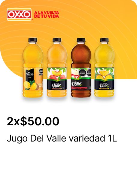Bebida Vida variedad 500ml