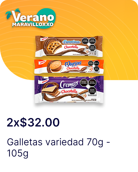 Galletas variedad 70g  93g