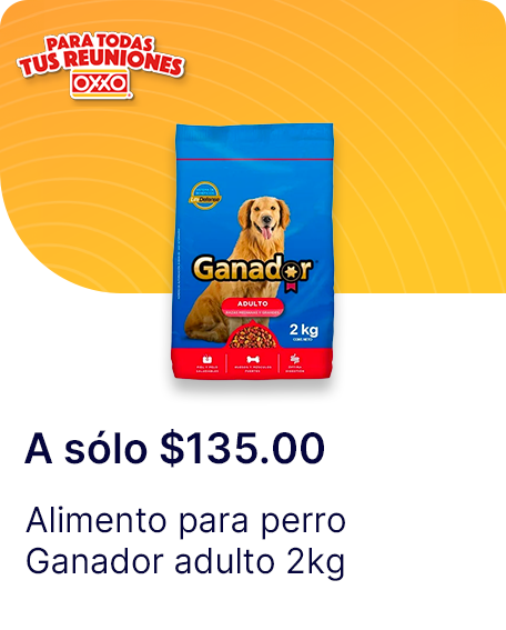 Alimento para perro Ganador adulto 2kg