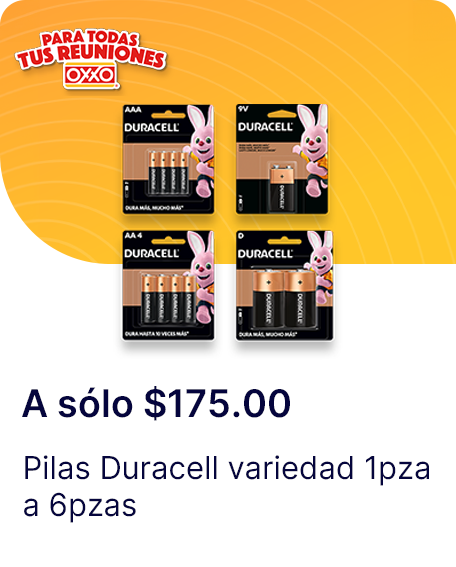Pilas Duracell variedad 1pza a 6pzas