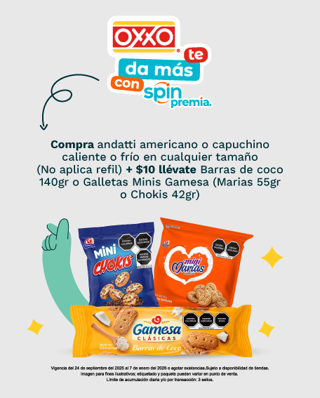 galletas gamesa