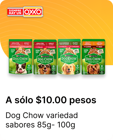Dog Chow variedad sabores 85g 100g