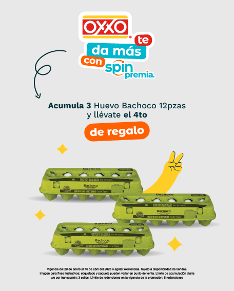 huevo bachoco 12 pzas