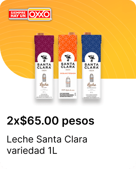 Leche Santa Clara variedad 1L