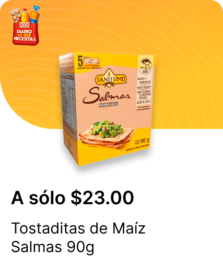 Tostaditas de Maiz Salmas 90g