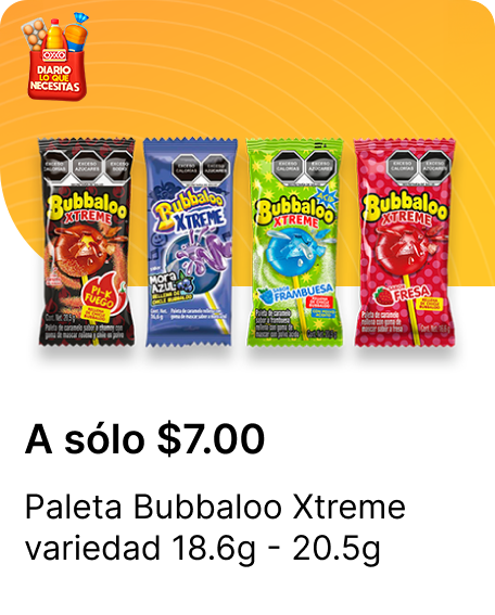 Paleta Bubbaloo variedad 18.6g  20.5g