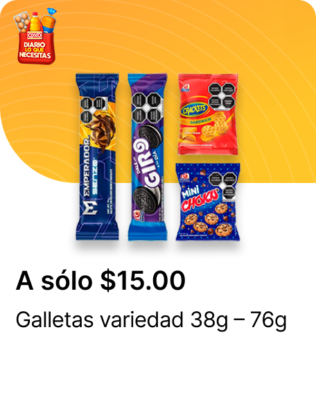 Galletas variedad 38g – 76g