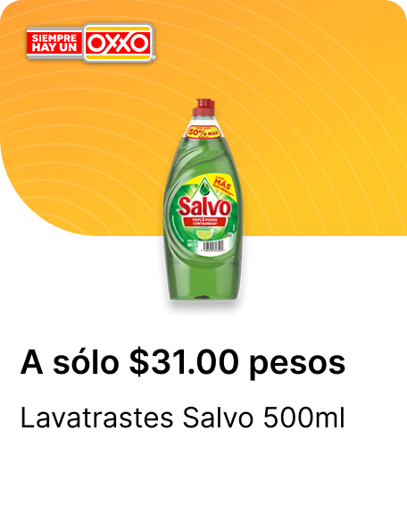 Lavatrastes Salvo 500ml
