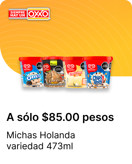 Michas Holanda variedad 473ml