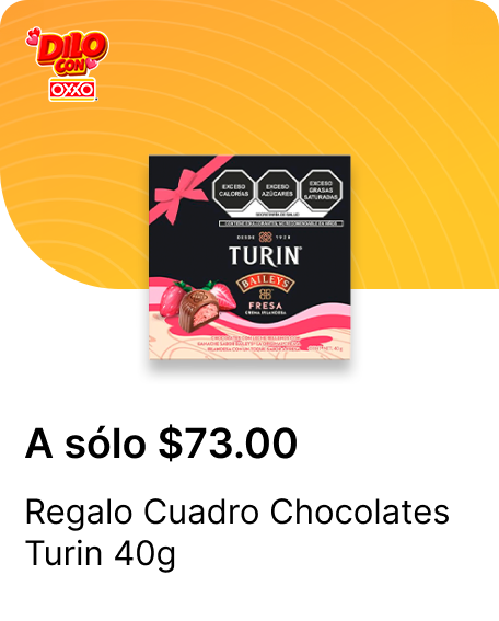 Regalo Cuadro Chocolates Turin 40g