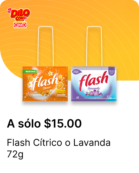 Flash Citrico o Lavanda 72g