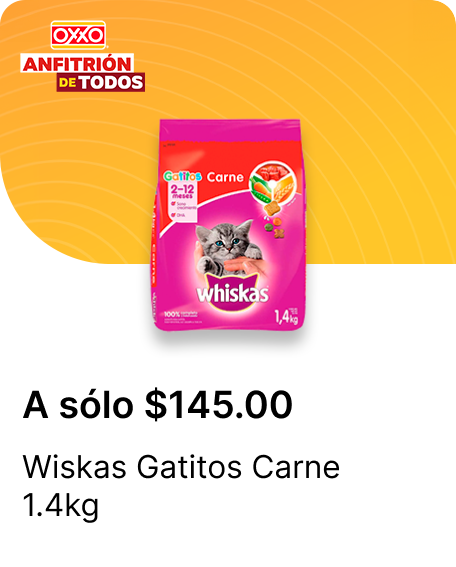 Wiskas Gatitos Carne 1.4kg