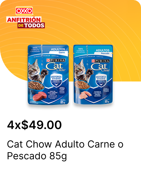 Cat Chow Adulto Carne o Pescado 85g