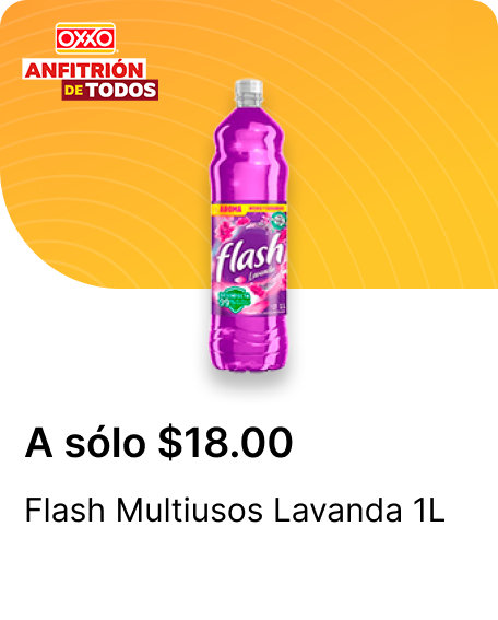 Flash Multiusos Lavanda 1L