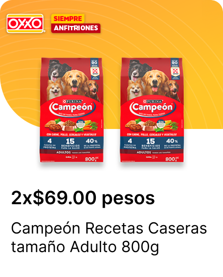 Campeon Recetas Caseras tamano Adulto 800g