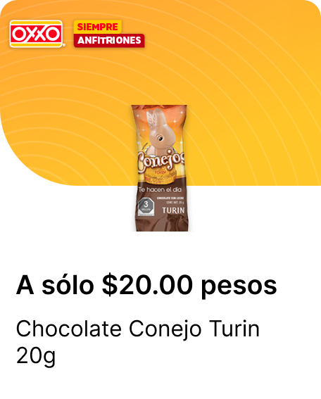 Chocolate Conejo Turin 20g