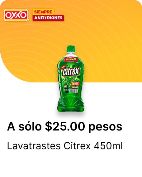 Lavatrastes Citrex 450ml