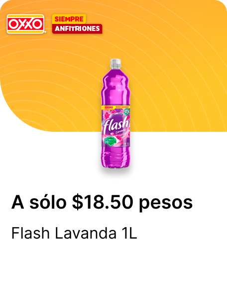 Flash Lavanda 1L