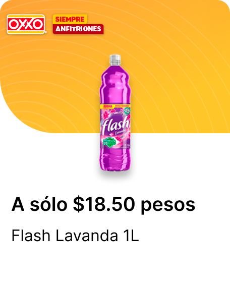 Flash Lavanda 1L