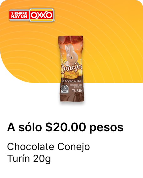 Chocolate Conejo Turin 20g