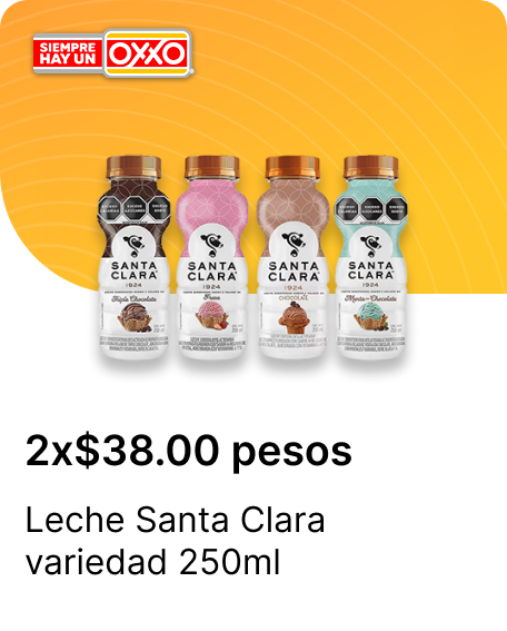 Leche Santa Clara variedad 250ml