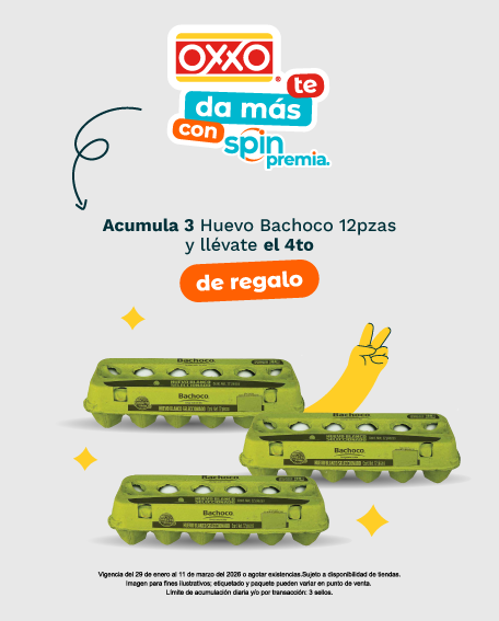 huevo bachoco 12 pzas